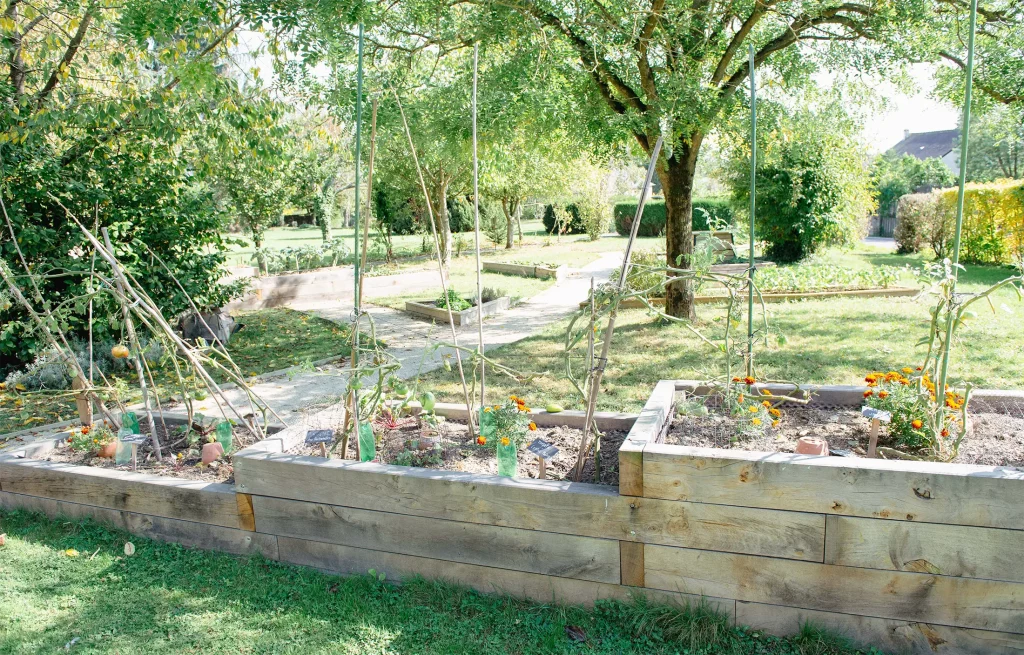 potager avec bac en bois