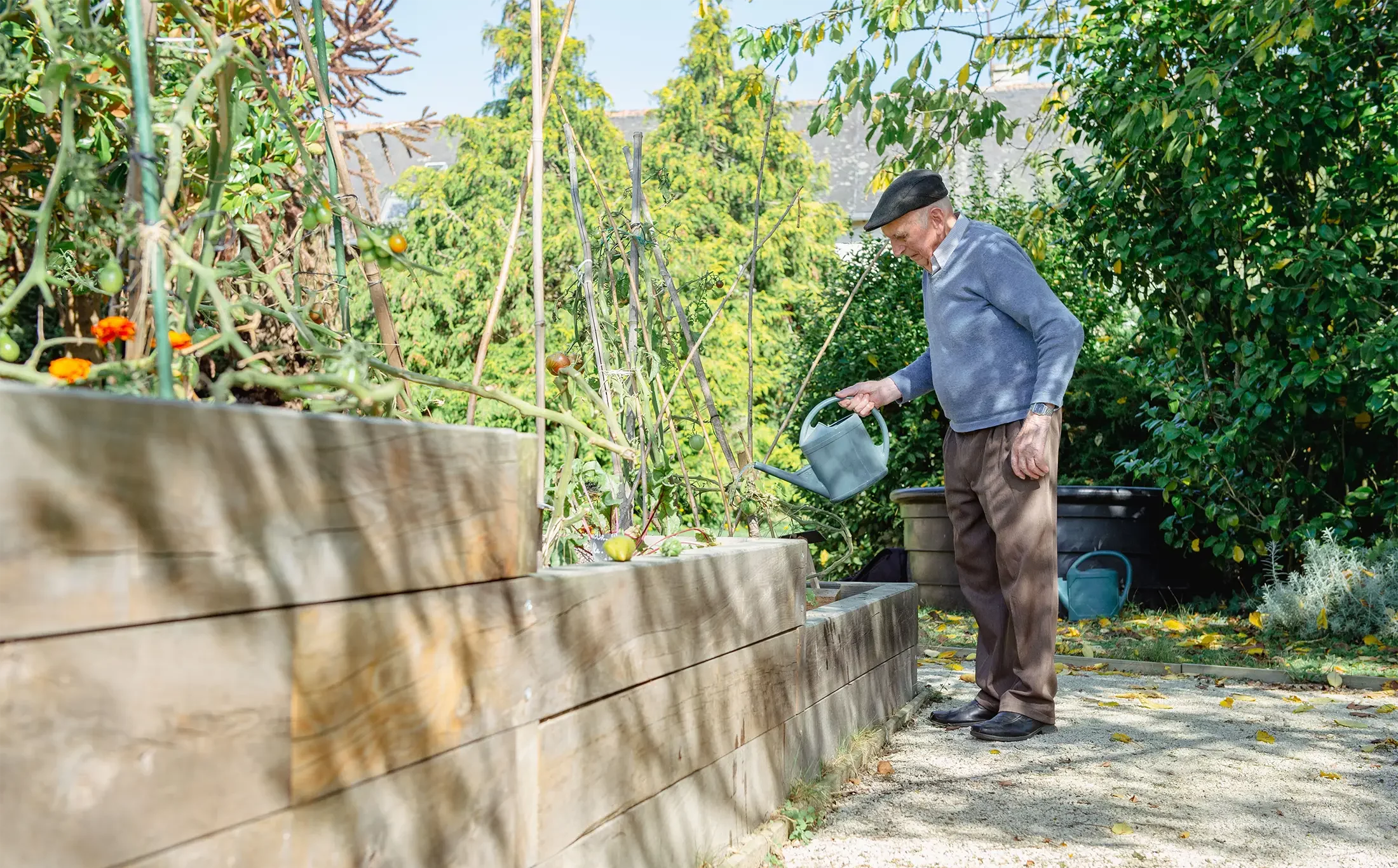 un résident jardine dans le potager partagé