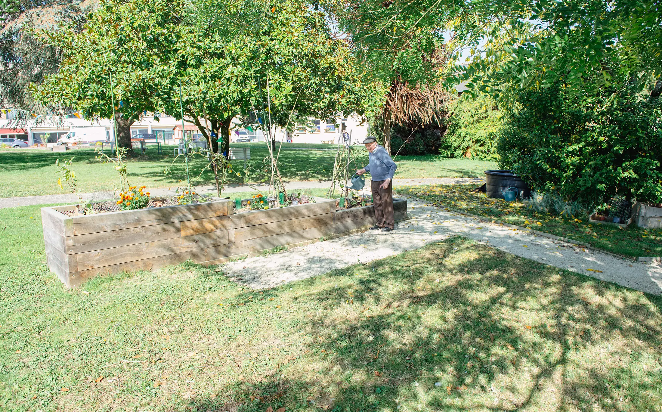 un résident jardine dans le potager